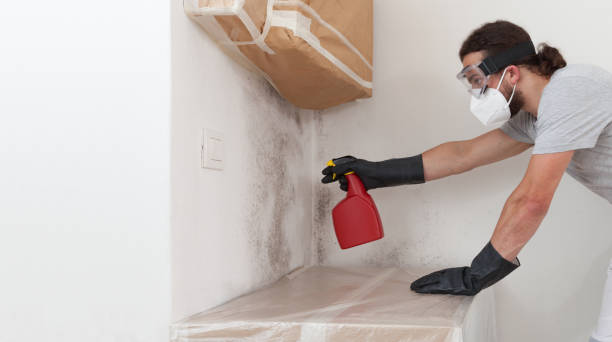 Attic Mold Remediation treatment on roof deck in Falls Church